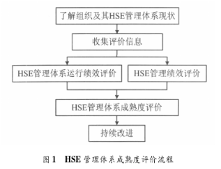 HSE管理体系成熟度评价流程